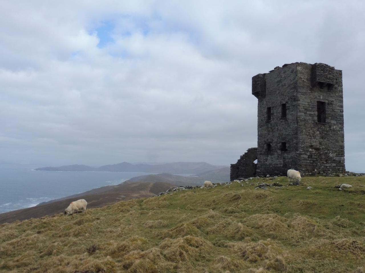 Bed and Breakfast Island View House Castletownbere Exterior foto