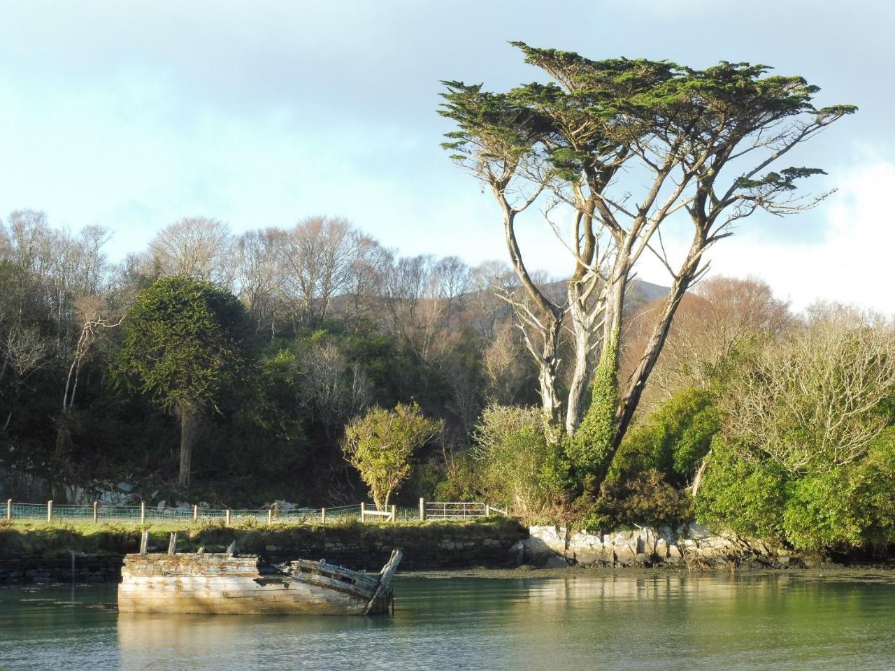Bed and Breakfast Island View House Castletownbere Exterior foto
