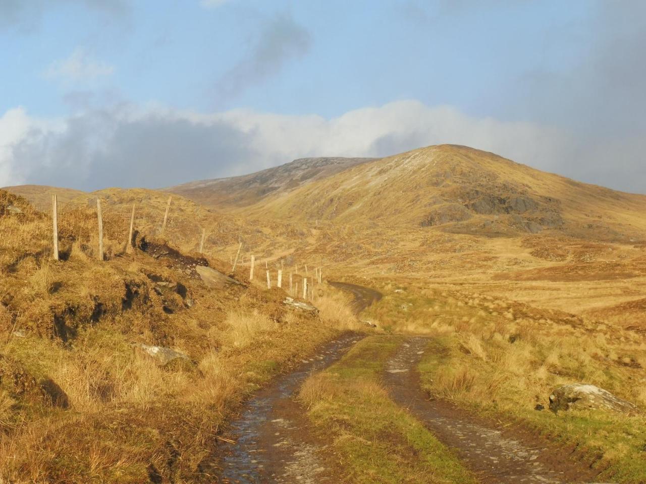 Bed and Breakfast Island View House Castletownbere Exterior foto
