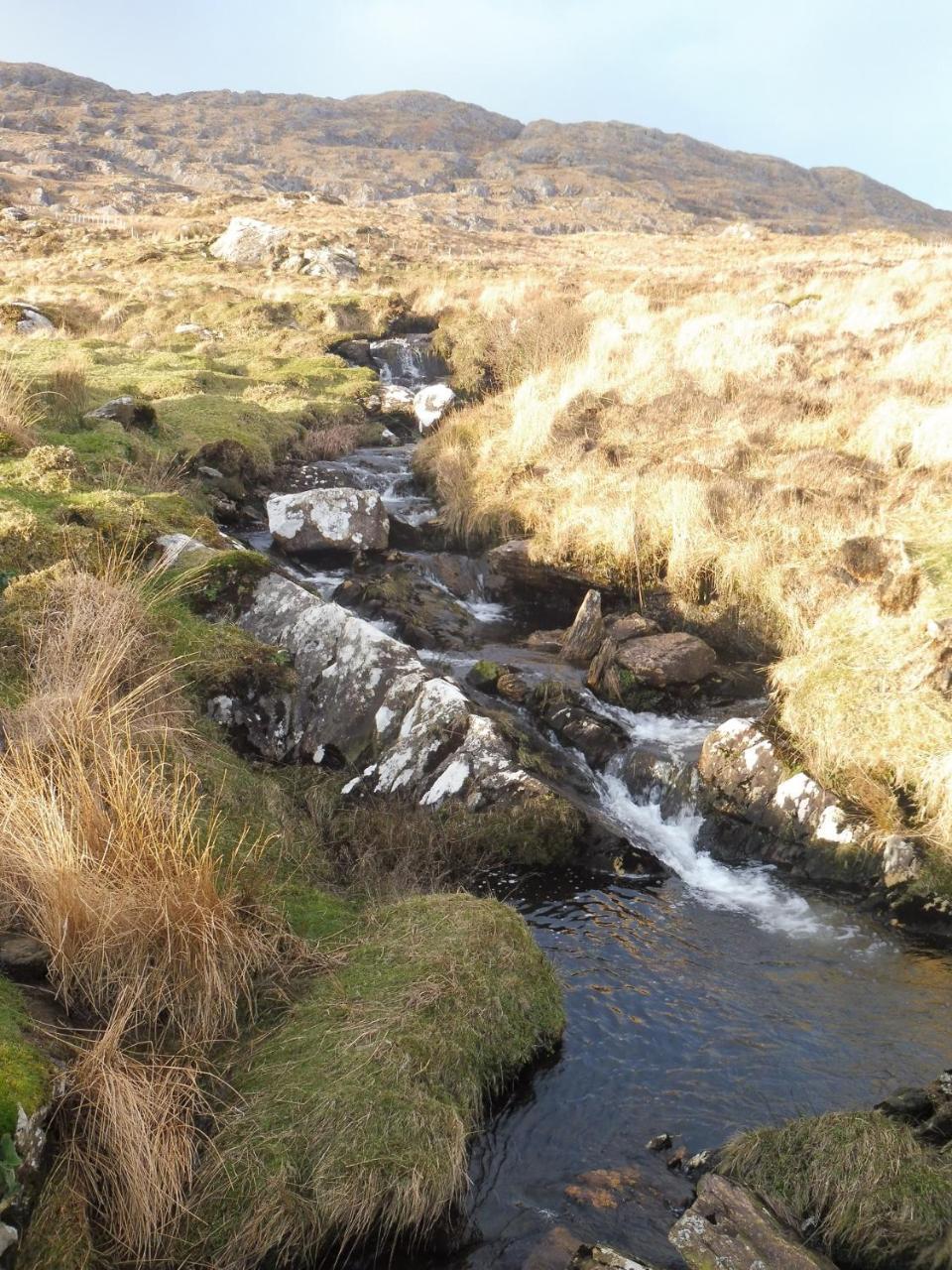 Bed and Breakfast Island View House Castletownbere Exterior foto